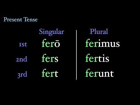 Irregular Verbs: fero, ferre, tuli, latus