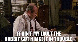 It ain't my fault the rabbit got himself in trouble.