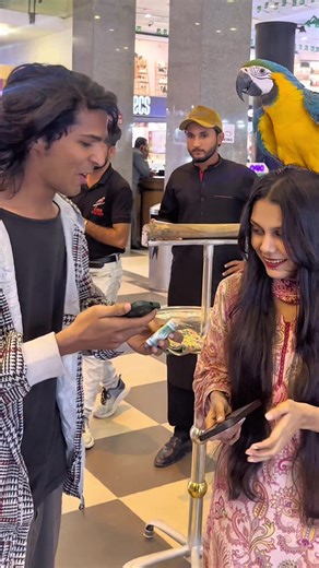 Parrot on Head Challenge: Win $10,000 Prize!