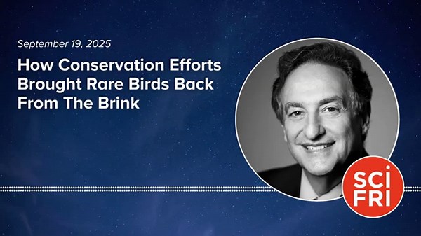 How Conservation Efforts Brought Rare Birds Back From The Brink