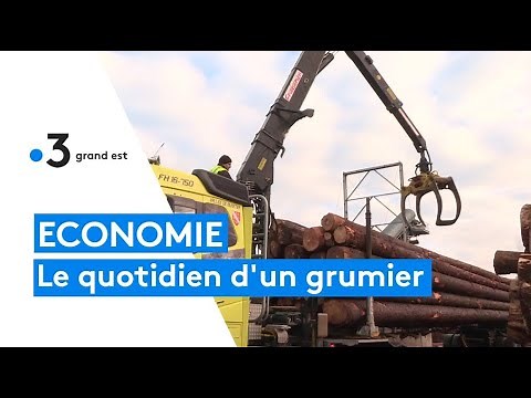 Le quotidien d'un grumier en Alsace