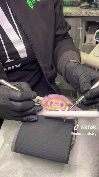 Our newest patient, the MINT-bubu, gets VIP treatment here at MINT! 💚 #labubu #dentist #dentalcare