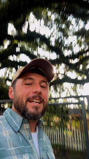 Pig racing! #pigs #pastureraisedpork #pigraces | Farmer Froberg