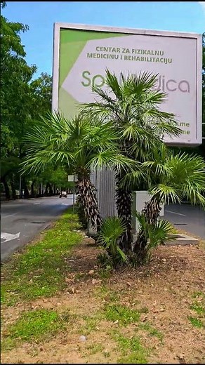 Podgorica Montenegro | City Life in 2025