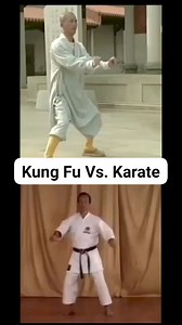 Kung Fu Vs. Karate | Budo Techniques