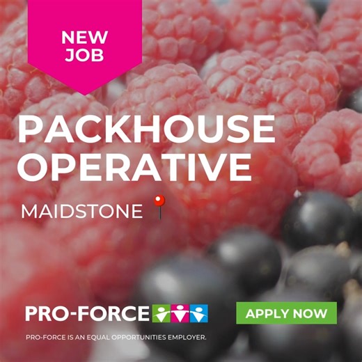 Apply Now : https://www.pro-force.co.uk/job/packhouse-operative-5784930?source=bing.com Our client based near Linton, Kent is looking for enthusiastic workers to support their busy Packhouse Production team 👷‍♂️👷‍♀️ ✨ What’s on offer: 🕘 Day shift available ⏰ Up to 12-hour shifts 💷 Pay rate: £12.21 per hour 📆 Working 6 days per week, including weekends & Bank Holidays 🚌 Transport available from Maidstone (if required) 🗣️ Basic understanding of English required 📚 Paid induction 🚀 Immediat