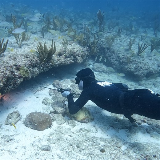 301K views · 8.6K reactions | The World's Best way to go Fishing | Ryan Myers | Facebook