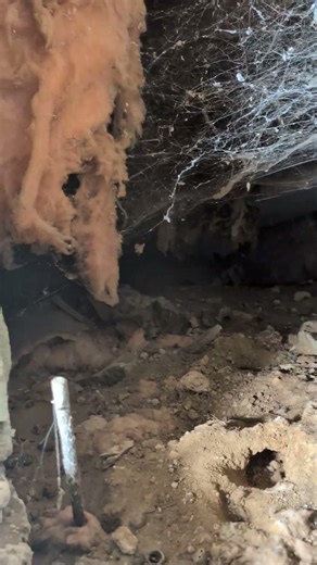 Crawlspace Transformation | Encapsulation & Spray Foam Insulation