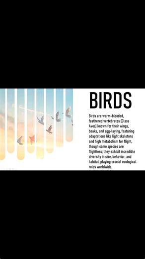 490K views · 6.1K reactions | Easy PowerPoint tutorial  #powerpoint #office #presentation | Time to Office | Facebook