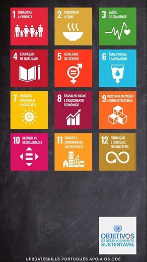 Os 17 Objetivos de Desenvolvimento Sustentável (ODS) - Agenda 2030 das Nações Unidas