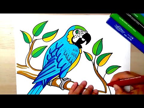 HOW TO DRAW a Blue and Gold Macaw - drawing for kids - coloring with markers