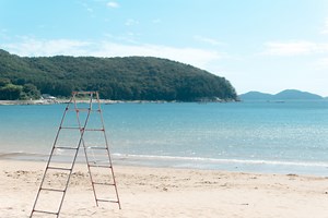 陸上からの救助