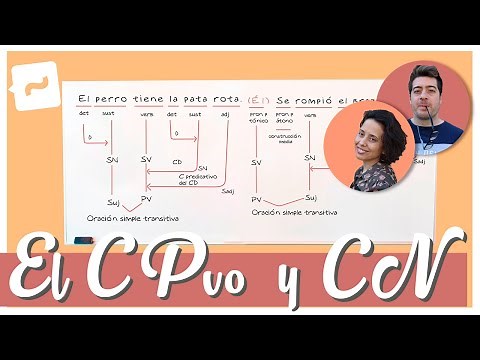 Complemento predicativo y complemento del nombre #2