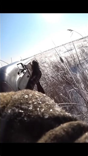 🎬 Rabbit Hunting Full Action – No Miss Shots#rabbithunting#harehunting #wildlife #rabbitadventure