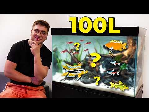 Quels poissons pour un Aquarium de 100 Litres ? On fait l'aquarium ensemble