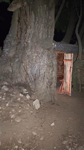 Building a Hidden Tree Hollow Shelter with Fireplace — Bushcraft Survival ASMR