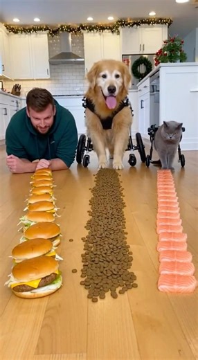 🚨 GOLDEN RETRIEVER INHALES EVERYONE'S FOOD! 🍔💀 (Food Race Gone Wrong)
