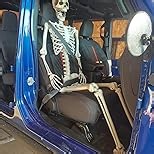 5.9ft Halloween Skeleton, Realistic Life Size Skeleton with Movable Joints for Halloween Party Haunted House Outdoor Decoration