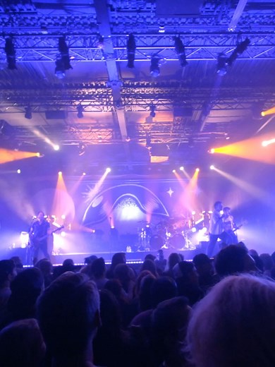 350 reactions · 13 comments | Senses Fail on Reels | Facebook