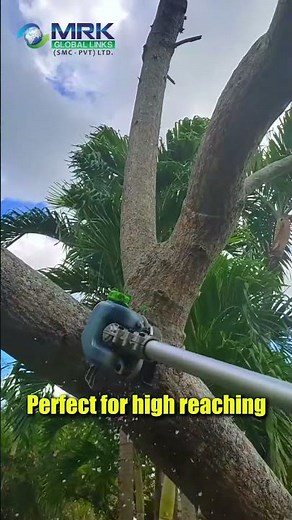 Tree Trimming with an Extended Pole Pruner