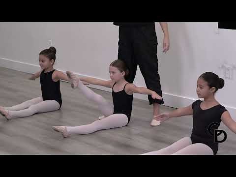 Beginner Ballet Fundamentals | Center
