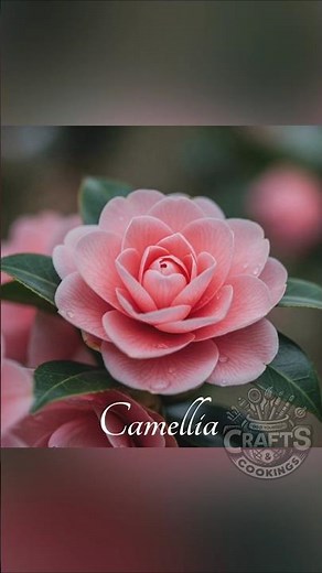 Nature's Little Masterpieces : Beautiful Flowers and Their Names | Flower Identification