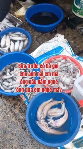 hổng hiểu nổi ông có gì mà mấy bà mê dữ vậy #giaitri #cubitv #xaykenhyoutube