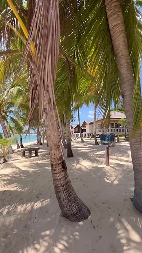 Welcome to Koh Samui 🏝️ #thailand 🇹🇭 #kohsamui #samui #kosamui #samuiisland 🎥 Video by @loktitravel 👏 | Love Thailand