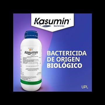 Soluciones UPL para el control de enfermedades producidas por bacterias_ Kasumin(r)