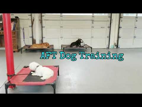 snowflake training summary