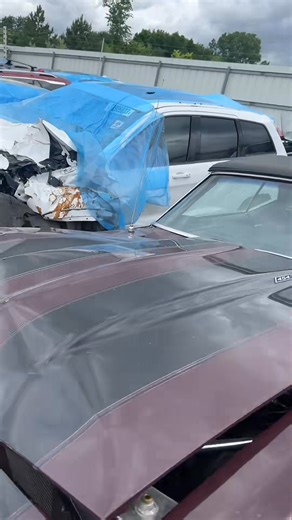 This 1968 Chevy Camaro with a big block 454 got crunched #vindoctor #fyp #1968ca | Bret Hall