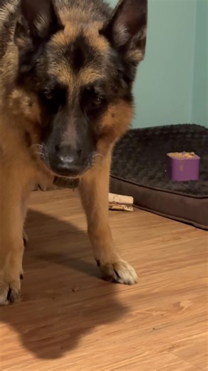 First world problems bump 😂 | Ten Shakes of Grace