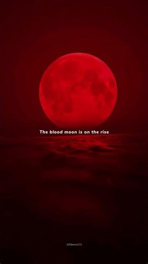 On My Way - Alan Walker | lyrics | #music #aesthetic #song #lyrics #alanwalker