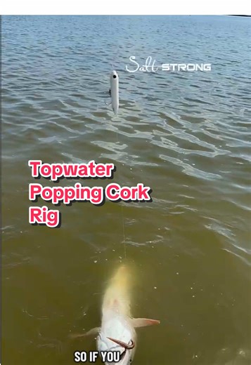 Topwater as a popping cork? Yes, it works. Here’s the proof! How it Works: Remove the back hook from a topwater lure. Tie a leader to the rear hook and add a soft plastic rigged like normal. The topwater gets the attention, but the fish will strike the paddletail. But fish may also strike the topwater, too! Have you ever tried this? What results have you seen? #topwater #topwaterfishing #fishingtackle #fishingtips #fishinglure