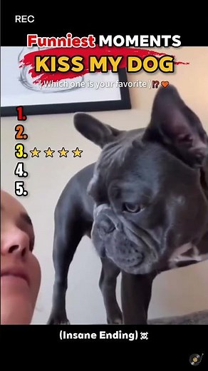 Funniest MOMENTS KISS MY DOG🐶💋