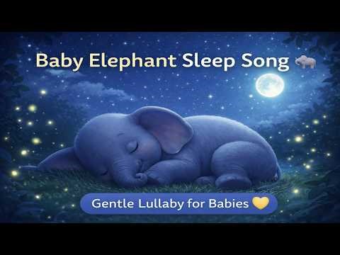 Baby Elephant Sleep Song 🐘🌙 Gentle Lullaby for Babies | Calm Bedtime Music for Kids
