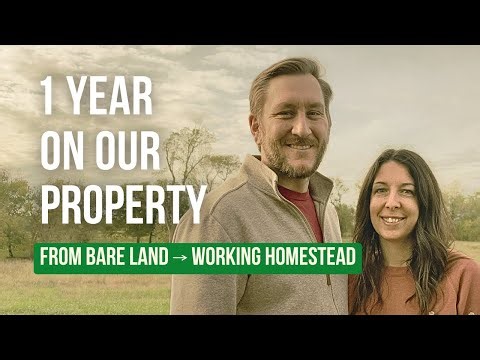 1 Year on Our Property | From Bare Land to a Working Homestead