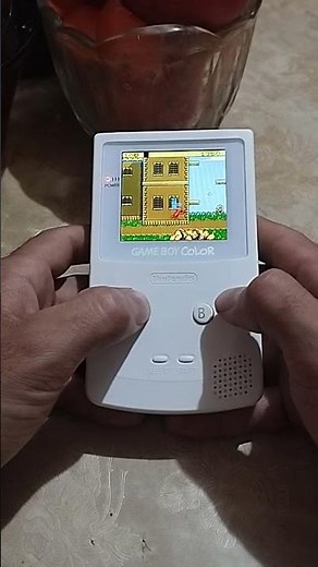 The last stage of Elmo in Grouchland: Huxley's House #gameboycolor