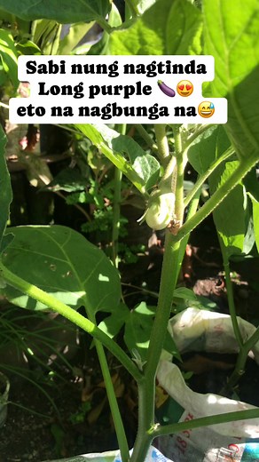 Na scam ka rin ba😁😅 | MaryAnn Maximo Oliveros
