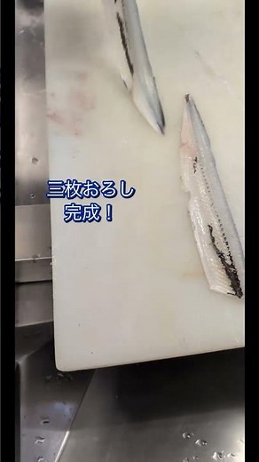 サヨリの三枚おろし！ #fish#魚捌き方