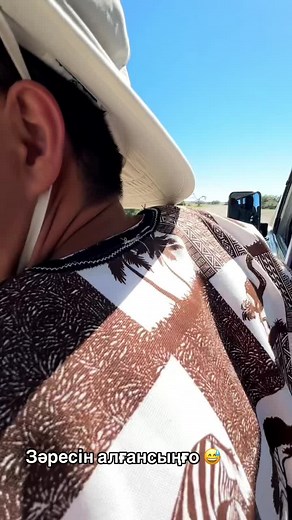 Exploring Namibia's Wildlife: A Scenic Journey