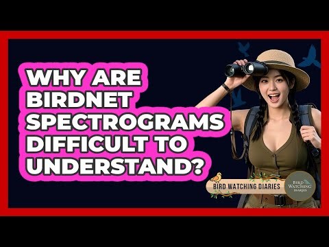 Why Are BirdNET Spectrograms Difficult To Understand? - Bird Watching Diaries
