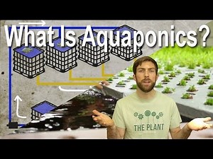 What Is Aquaponics? - Plant Chicago, NFP Explains