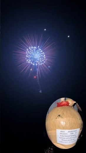 8 inch display shell firework (red&gold twinkling kamuro with 3 times rising flower & gold tail)