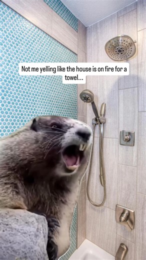 Why does my "Hey Hey Hey" from the shower sound like an emergency broadcast alert! ...when really I just forgot my towel. Again... 😂🚿 #CoupleComedy #FunnyReels #Relatable #SendHelp #MumLife #MumHumour #RelatableCouple | Sandy Rose Oats