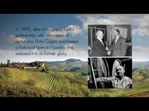 Elvio Cogno: An Overview
