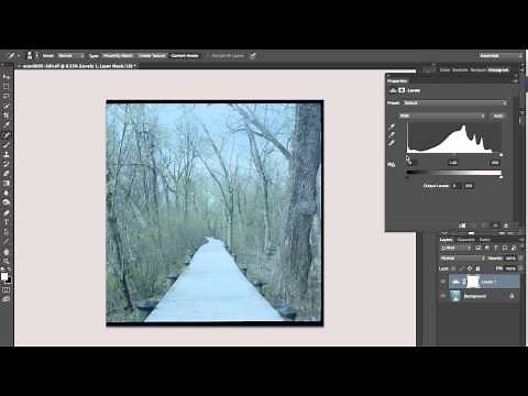 How to edit a film color negative with Photoshop