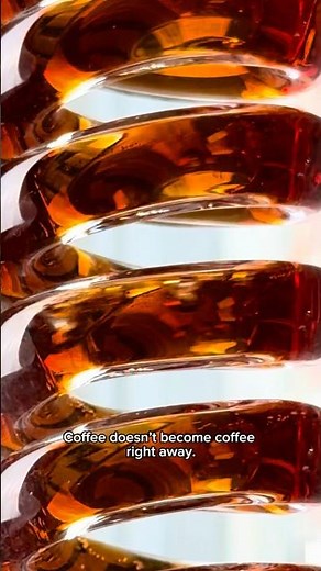 Coffee Siphon #kazumicoffee #coffee #siphoncoffee #japanesecoffee #glasscoffeemaker