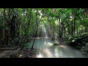 Όμορφη χαλαρωτική μουσική • Ειρηνική μουσική για πιάνο, τσέλο & κιθάρα από Soothing Relaxation