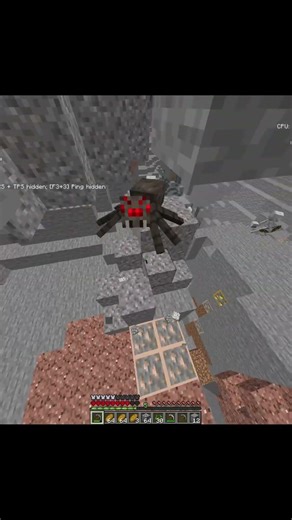 random minecraft clip (13)